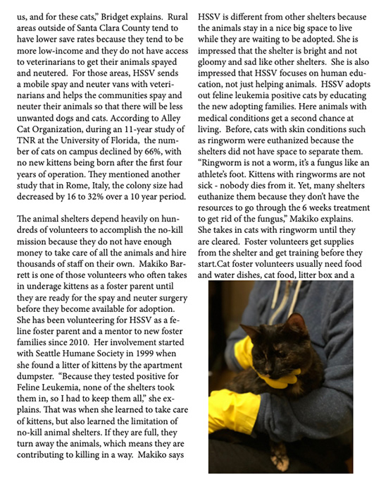 Article by Nicky Krammer